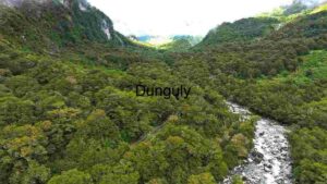 Lush Greenery and Rugged Terrain: Aerial View of a Forested Valley with River