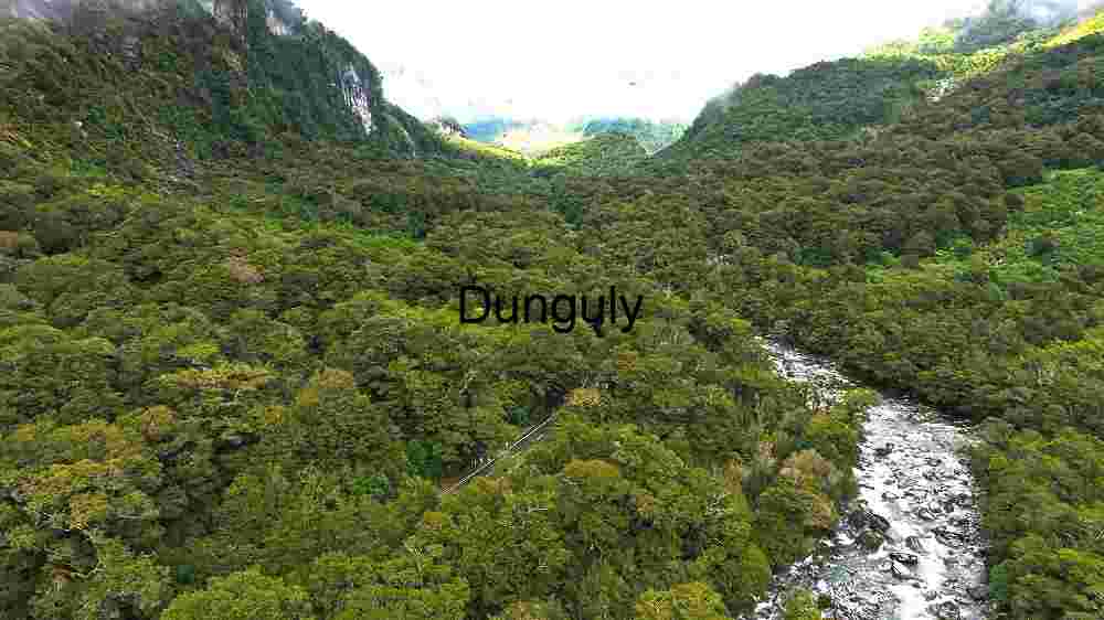 Lush Greenery and Rugged Terrain: Aerial View of a Forested Valley with River