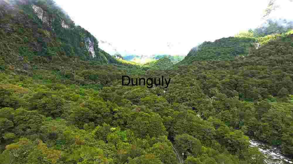 Lush Greenery of a Mountainous Landscape