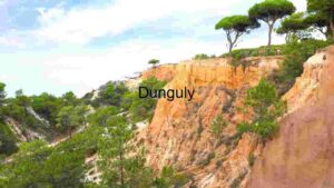 Coastal Cliffs and Pine Trees Landscape