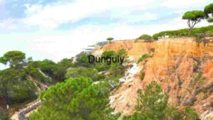 Coastal Cliffs and Verdant Flora
