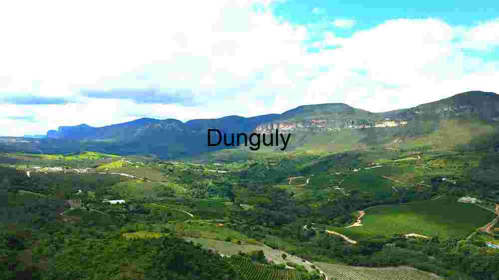 Expansive Green Valley Landscape