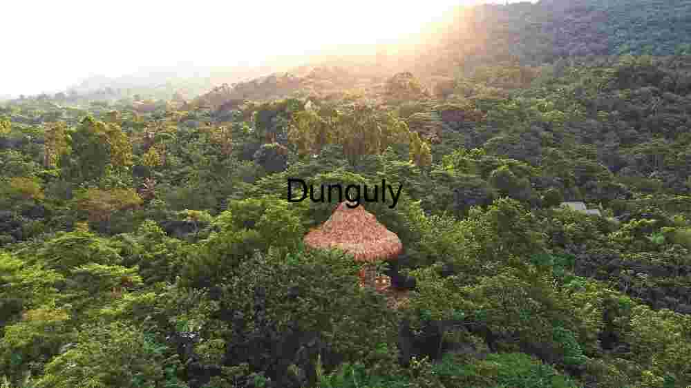 Serene Jungle Retreat at Sunset