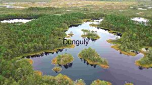 Lakes and green tries