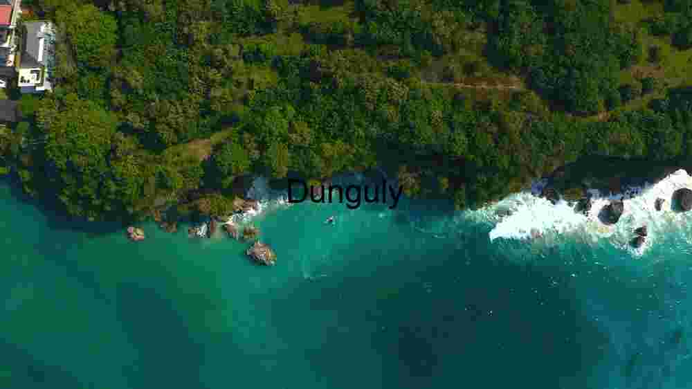 Coastal Elegance: Aerial View of a Lush Green Shoreline