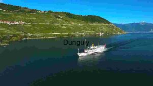 Serene Lake Cruise in Lavaux Vineyard Terraces