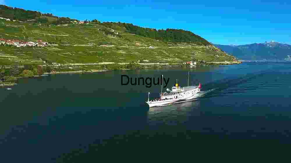 Serene Lake Cruise in Lavaux Vineyard Terraces