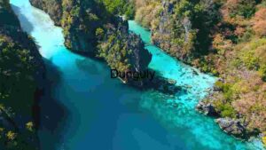 Serene Tropical River Estuary