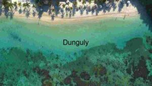Aerial View of Tropical Beach and Clear Turquoise Waters