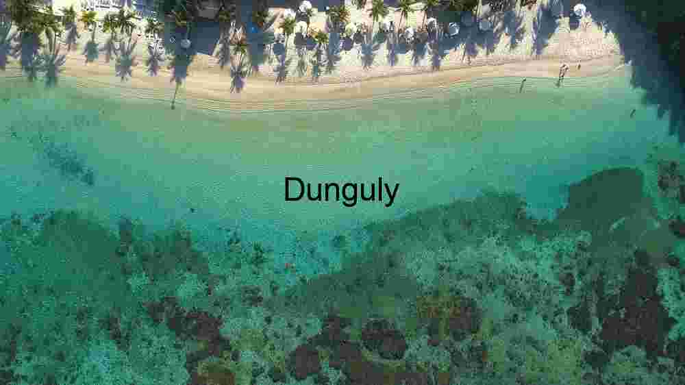 Aerial View of Tropical Beach and Clear Turquoise Waters