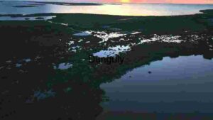 Coastal Wetlands at Sunset