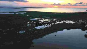 Sunset Over Coastal Wetlands