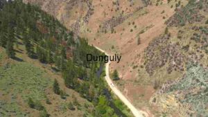 Serene Mountain Road and Stream