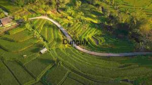 Aerial View of Lush Green Terraced Rice Fields