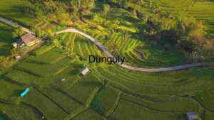 Aerial View of Lush Green Terraced Rice Fields