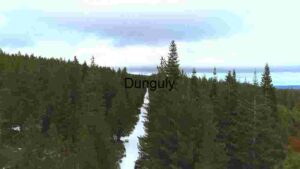 Snow-Covered Forest Path