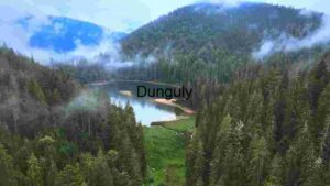 Serene Mountain Lake Surrounded by Dense Forest