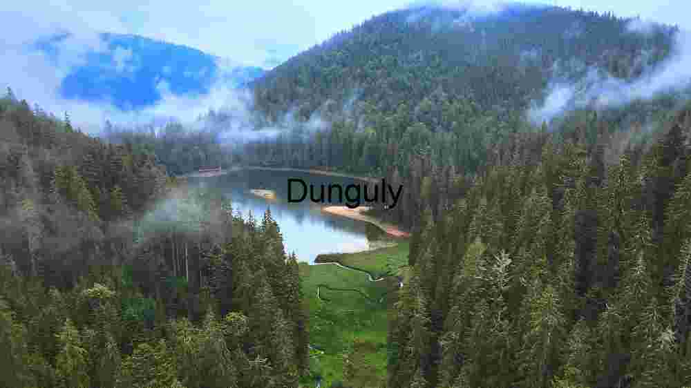 Serene Mountain Lake Surrounded by Dense Forest