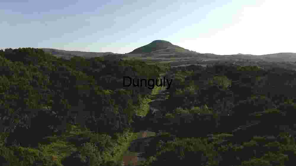 Serene Forest Path Leading to a Distant Hill
