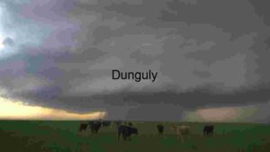 Cattle Under a Stormy Sky