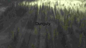 Sunlight Piercing Through Forest Mist