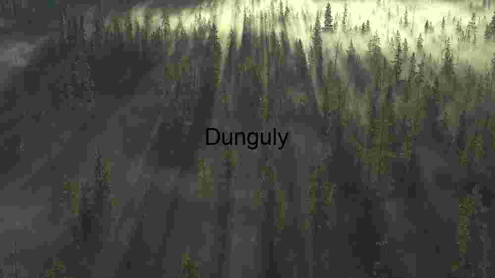 Sunlight Piercing Through Forest Mist