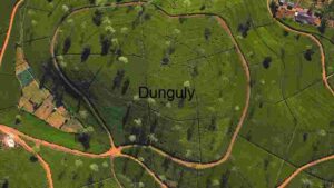 Aerial View of Lush Green Agricultural Fields