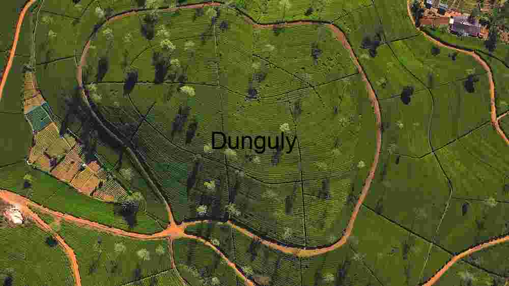 Aerial View of Lush Green Agricultural Fields