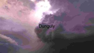 Aerial View of Lush Green Agricultural Fields