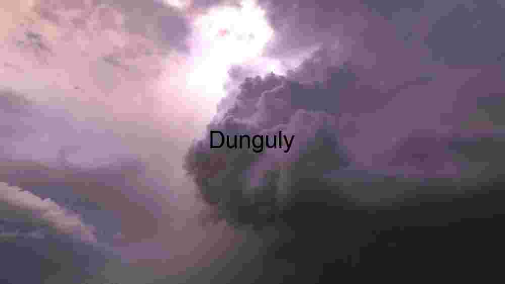 Aerial View of Lush Green Agricultural Fields