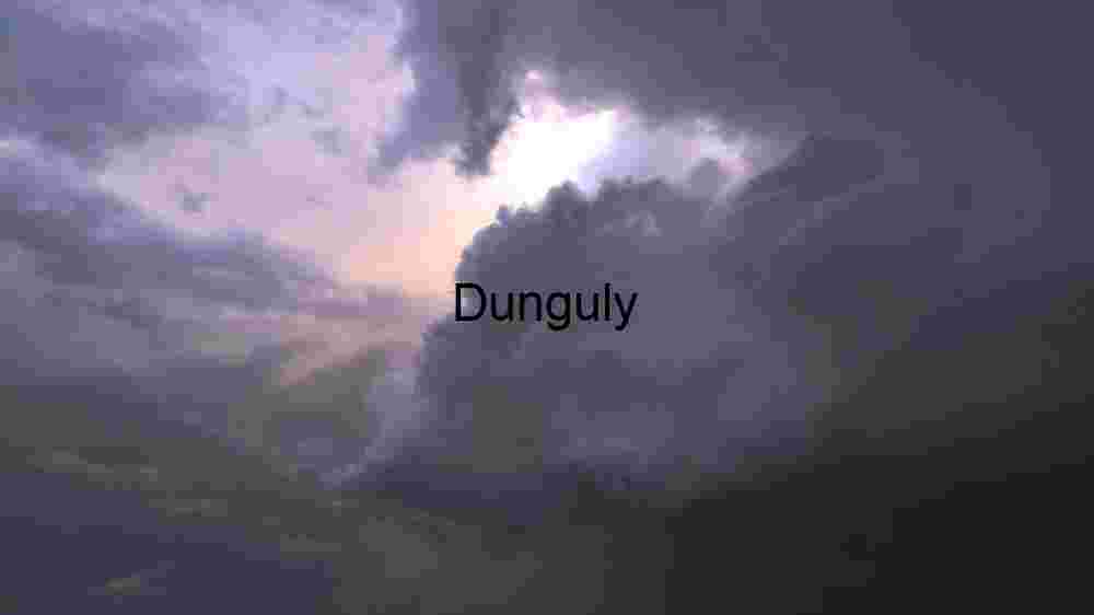 Aerial View of Lush Green Agricultural Fields