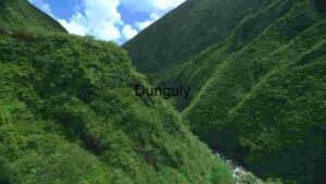 Verdant Valley Landscape