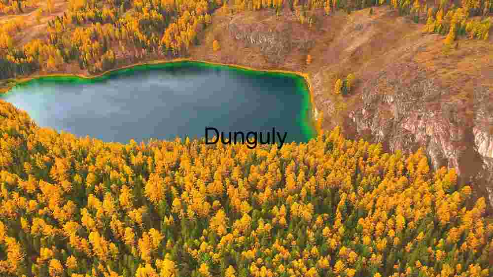 Autumnal Forest Surrounding a Serene Lake