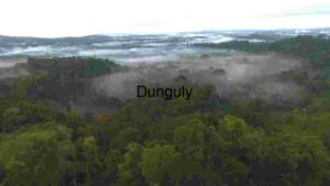 Misty Rainforest Landscape