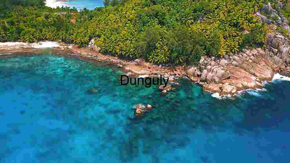 Tropical Coastal Paradise