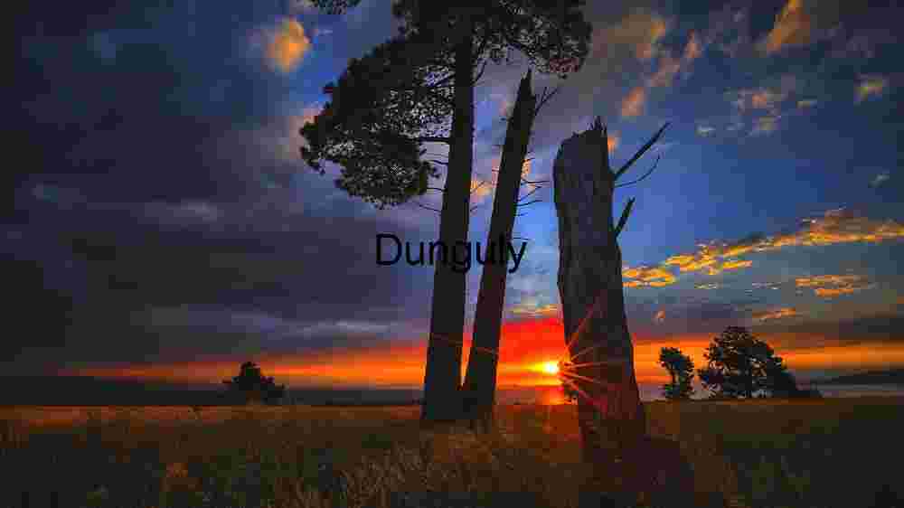 Sunset Through the Trees