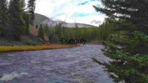 Serene River Flowing Through a Pine Forest