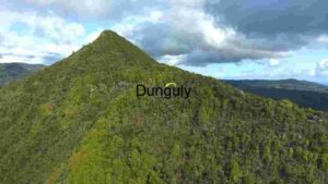 Paragliding Over Verdant Mountain