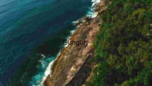 Coastal Serenity: Aerial View of Rocky Shoreline and Lush Forest