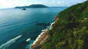 Coastal Serenity: Aerial View of Lush Greenery and Blue Waters