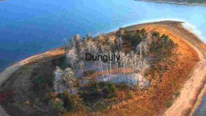 Aerial View of a Coastal Peninsula with Sparse Forest