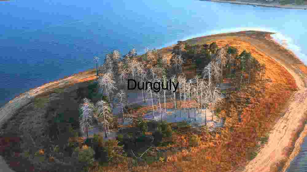 Aerial View of a Coastal Peninsula with Sparse Forest