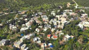 Aerial View of a Residential Area Surrounded by Greenery