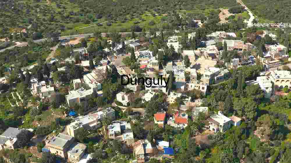 Aerial View of a Residential Area Surrounded by Greenery