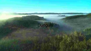 Misty Forest Landscape at Dawn