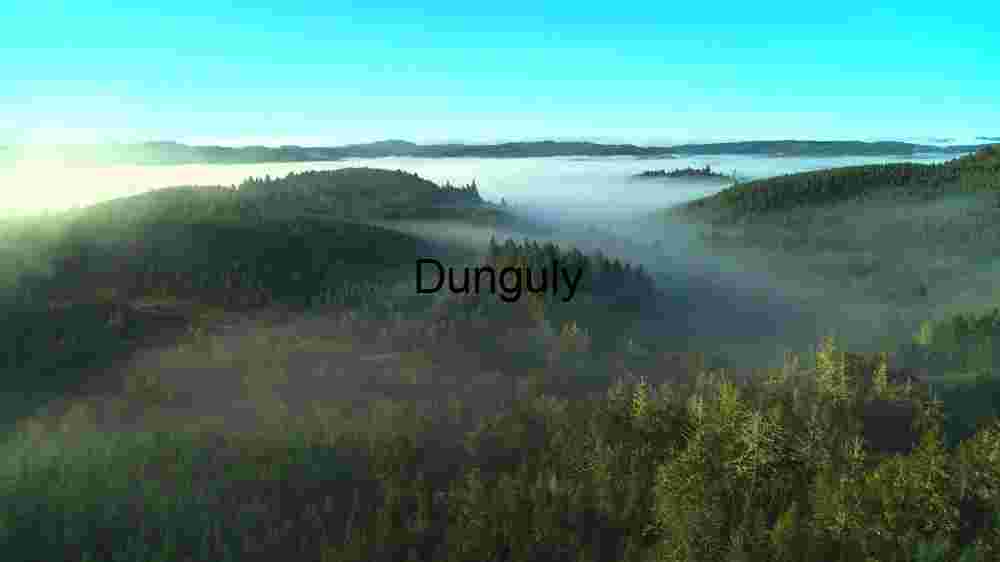 Misty Forest Landscape at Dawn