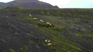 Sheep Grazing on a Volcanic Slope