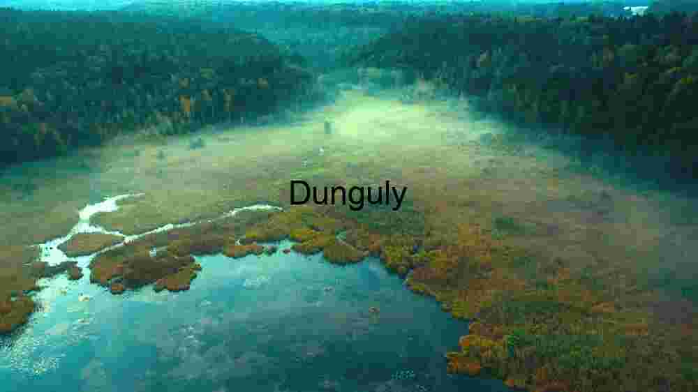 Misty Wetland Landscape