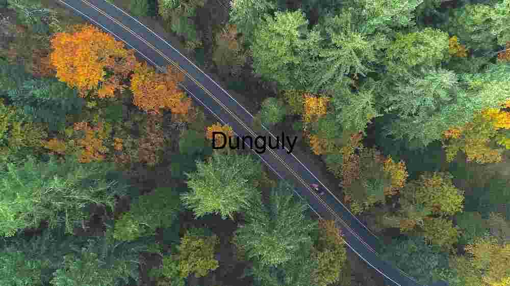 Aerial View of a Forest Road in Autumn