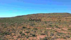 Arid Landscape with Sparse Vegetation